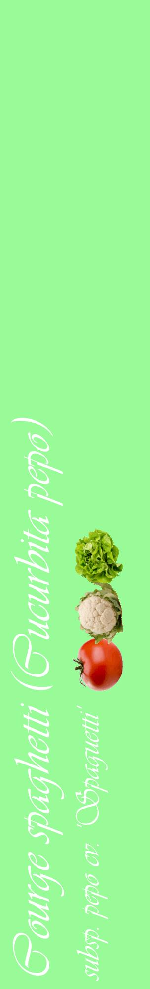 Étiquette de : Cucurbita pepo subsp. pepo cv. 'Spaguetti' - format c - style blanche14_basiqueviv avec comestibilité simplifiée