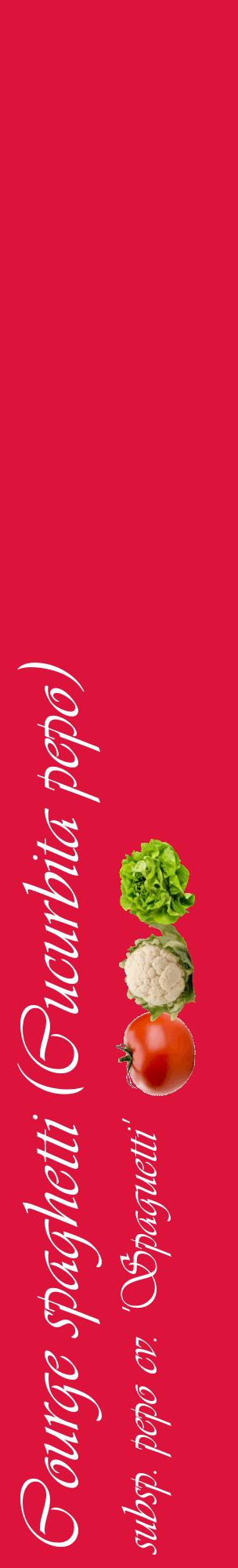 Étiquette de : Cucurbita pepo subsp. pepo cv. 'Spaguetti' - format c - style blanche36_basiqueviv avec comestibilité simplifiée