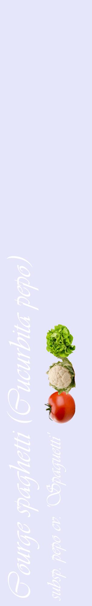 Étiquette de : Cucurbita pepo subsp. pepo cv. 'Spaguetti' - format c - style blanche55_basiqueviv avec comestibilité simplifiée