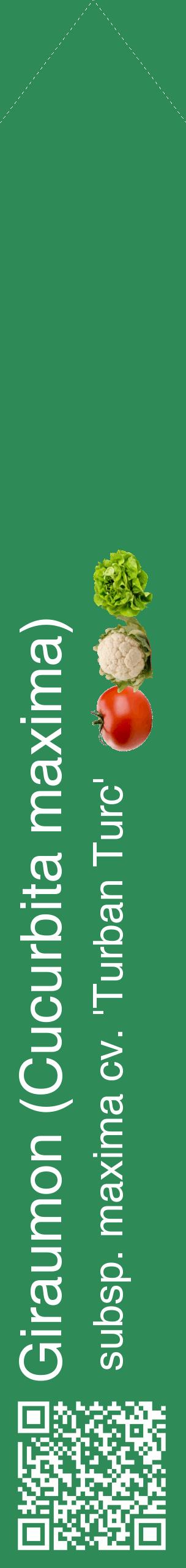 Étiquette de : Cucurbita maxima subsp. maxima cv. 'Turban Turc' - format c - style blanche11_simplehel avec qrcode et comestibilité simplifiée