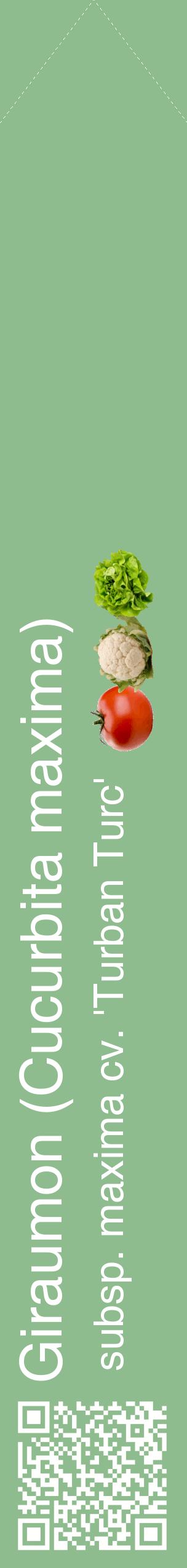 Étiquette de : Cucurbita maxima subsp. maxima cv. 'Turban Turc' - format c - style blanche13_simplehel avec qrcode et comestibilité simplifiée