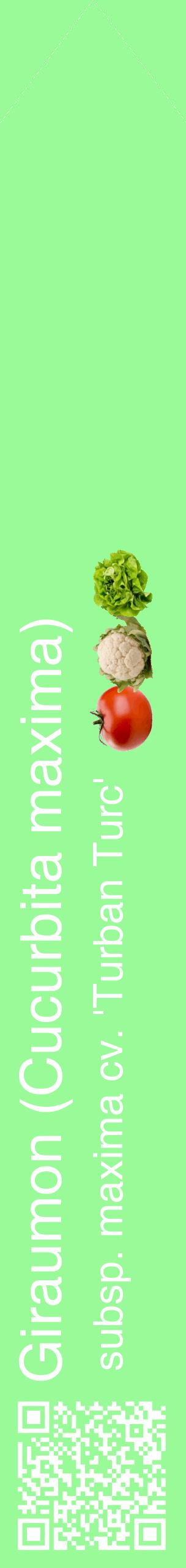 Étiquette de : Cucurbita maxima subsp. maxima cv. 'Turban Turc' - format c - style blanche14_simplehel avec qrcode et comestibilité simplifiée