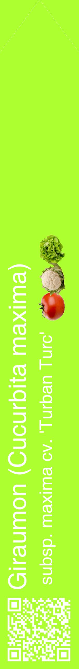 Étiquette de : Cucurbita maxima subsp. maxima cv. 'Turban Turc' - format c - style blanche17_simplehel avec qrcode et comestibilité simplifiée