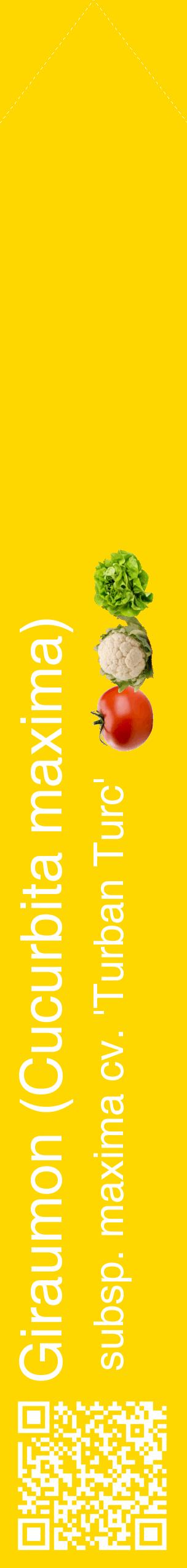 Étiquette de : Cucurbita maxima subsp. maxima cv. 'Turban Turc' - format c - style blanche21_simplehel avec qrcode et comestibilité simplifiée