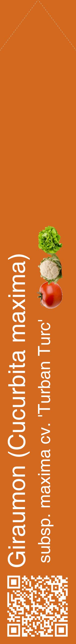 Étiquette de : Cucurbita maxima subsp. maxima cv. 'Turban Turc' - format c - style blanche31_simplehel avec qrcode et comestibilité simplifiée