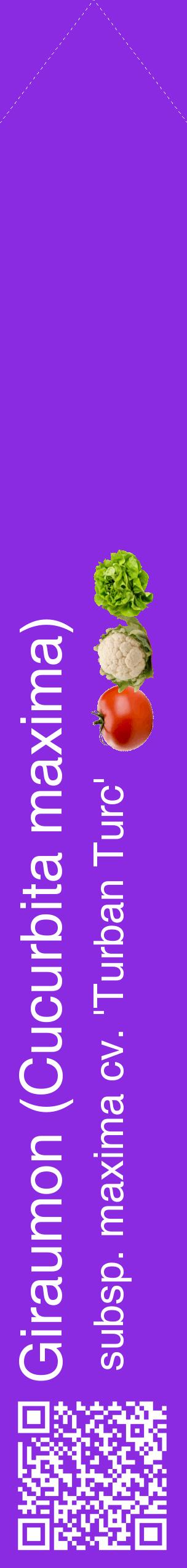 Étiquette de : Cucurbita maxima subsp. maxima cv. 'Turban Turc' - format c - style blanche49_simplehel avec qrcode et comestibilité simplifiée