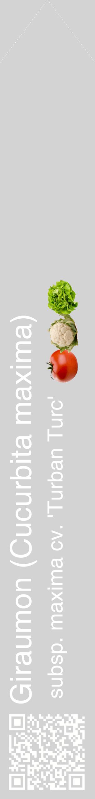 Étiquette de : Cucurbita maxima subsp. maxima cv. 'Turban Turc' - format c - style blanche56_simplehel avec qrcode et comestibilité simplifiée