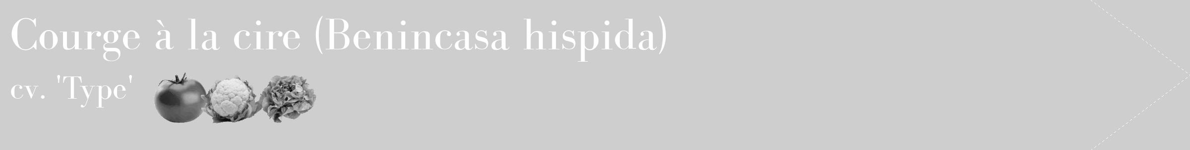 Étiquette de : Benincasa hispida cv. 'Type' - format c - style blanche17_simple_simplebod avec comestibilité simplifiée