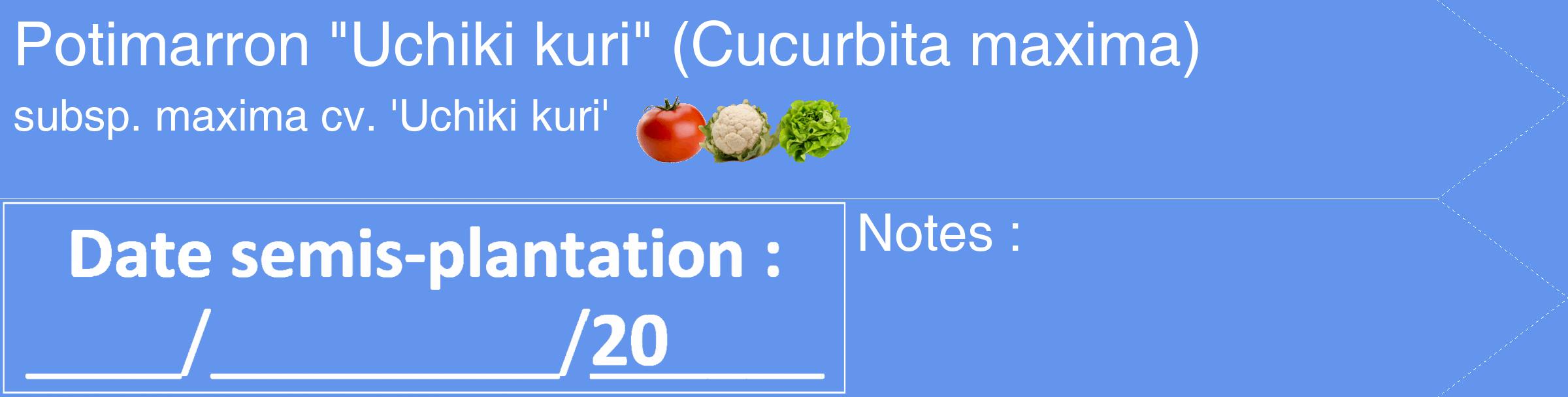 Étiquette de : Cucurbita maxima subsp. maxima cv. 'Uchiki kuri' - format c - style blanche4_simple_simplehel avec comestibilité simplifiée