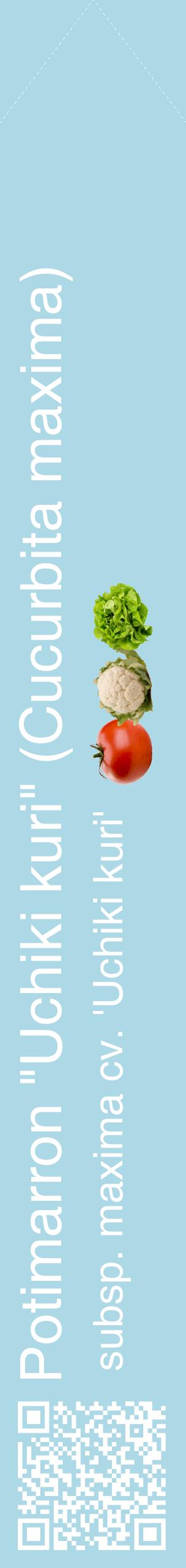 Étiquette de : Cucurbita maxima subsp. maxima cv. 'Uchiki kuri' - format c - style blanche0_simplehel avec qrcode et comestibilité simplifiée