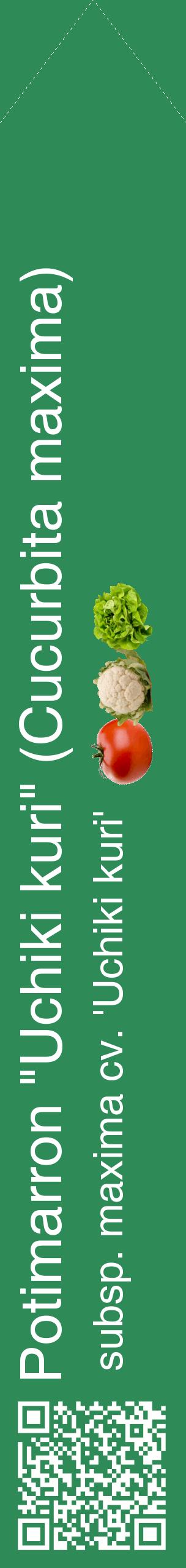Étiquette de : Cucurbita maxima subsp. maxima cv. 'Uchiki kuri' - format c - style blanche11_simplehel avec qrcode et comestibilité simplifiée