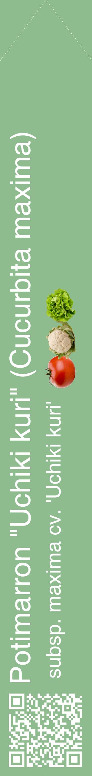 Étiquette de : Cucurbita maxima subsp. maxima cv. 'Uchiki kuri' - format c - style blanche13_simplehel avec qrcode et comestibilité simplifiée