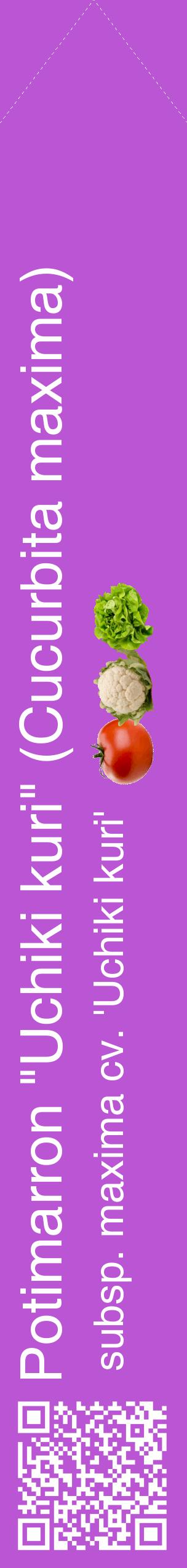 Étiquette de : Cucurbita maxima subsp. maxima cv. 'Uchiki kuri' - format c - style blanche50_simplehel avec qrcode et comestibilité simplifiée