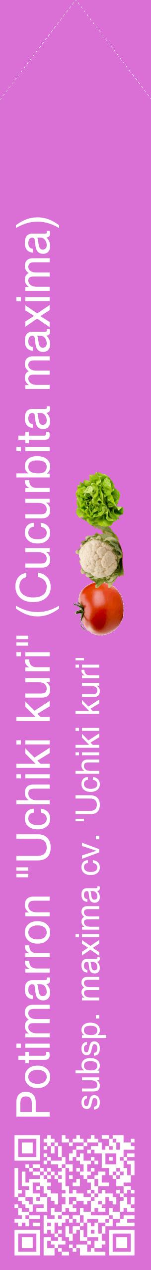 Étiquette de : Cucurbita maxima subsp. maxima cv. 'Uchiki kuri' - format c - style blanche52_simplehel avec qrcode et comestibilité simplifiée