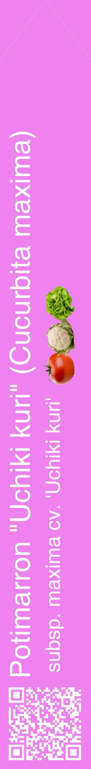 Étiquette de : Cucurbita maxima subsp. maxima cv. 'Uchiki kuri' - format c - style blanche53_simplehel avec qrcode et comestibilité simplifiée