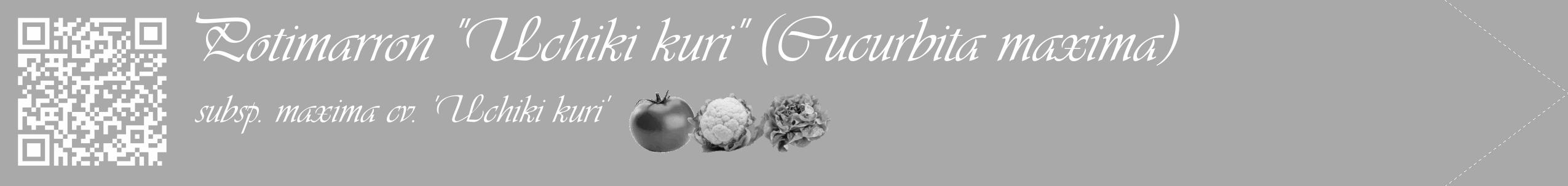 Étiquette de : Cucurbita maxima subsp. maxima cv. 'Uchiki kuri' - format c - style blanche13_simple_simpleviv avec qrcode et comestibilité simplifiée