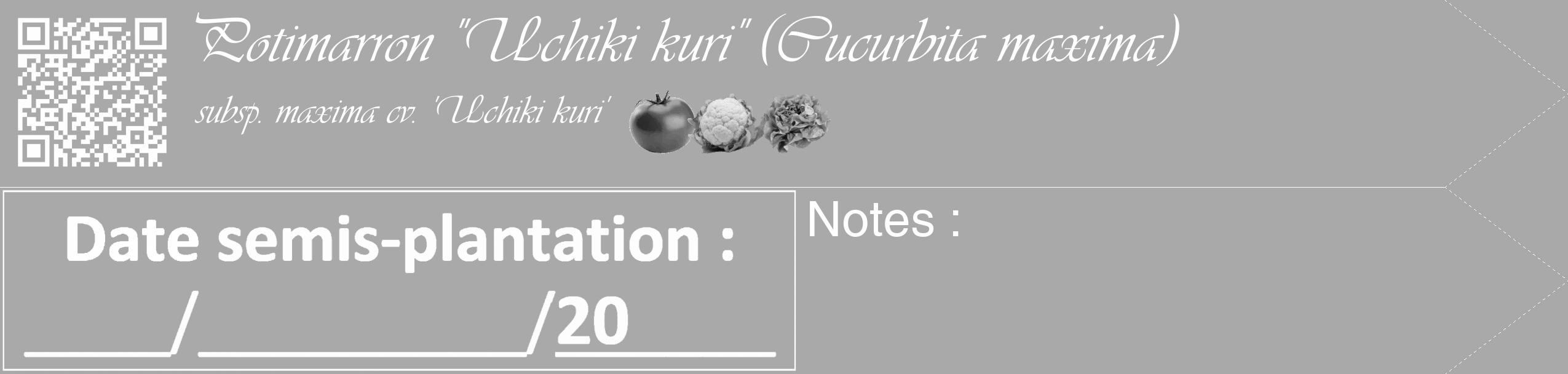 Étiquette de : Cucurbita maxima subsp. maxima cv. 'Uchiki kuri' - format c - style blanche13_simple_simpleviv avec qrcode et comestibilité simplifiée