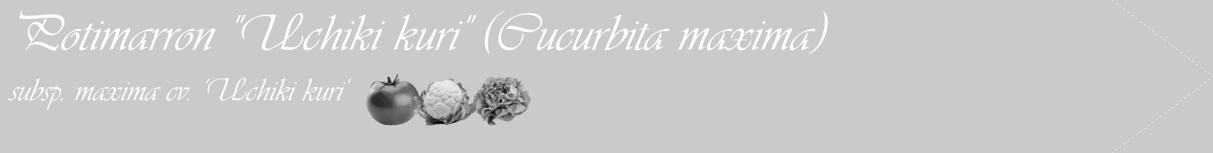 Étiquette de : Cucurbita maxima subsp. maxima cv. 'Uchiki kuri' - format c - style blanche21simple_simple_simpleviv avec comestibilité simplifiée