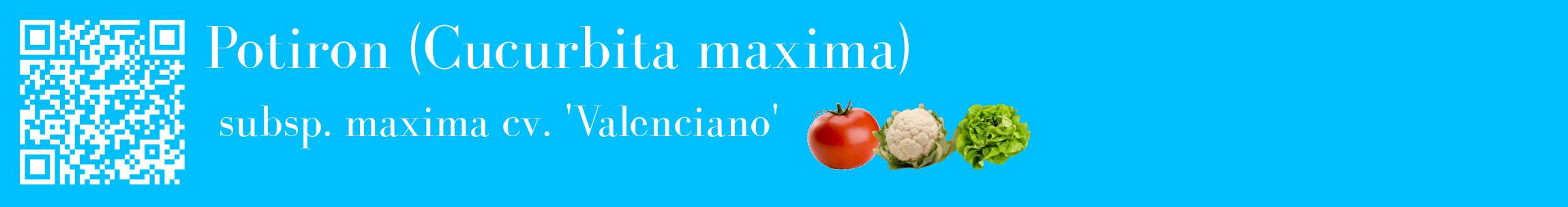 Étiquette de : Cucurbita maxima subsp. maxima cv. 'Valenciano' - format c - style blanche2basique_basique_basiquebod avec qrcode et comestibilité simplifiée