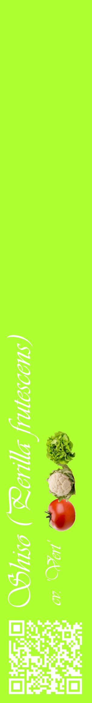 Étiquette de : Perilla frutescens cv. 'Vert' - format c - style blanche17_basiqueviv avec qrcode et comestibilité simplifiée