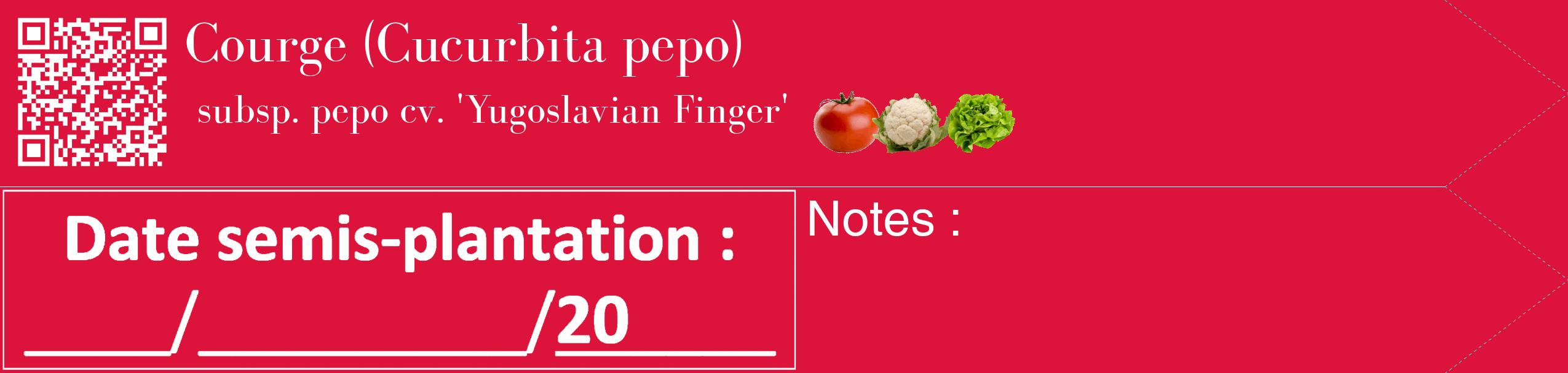 Étiquette de : Cucurbita pepo subsp. pepo cv. 'Yugoslavian Finger' - format c - style blanche36_simple_simplebod avec qrcode et comestibilité simplifiée