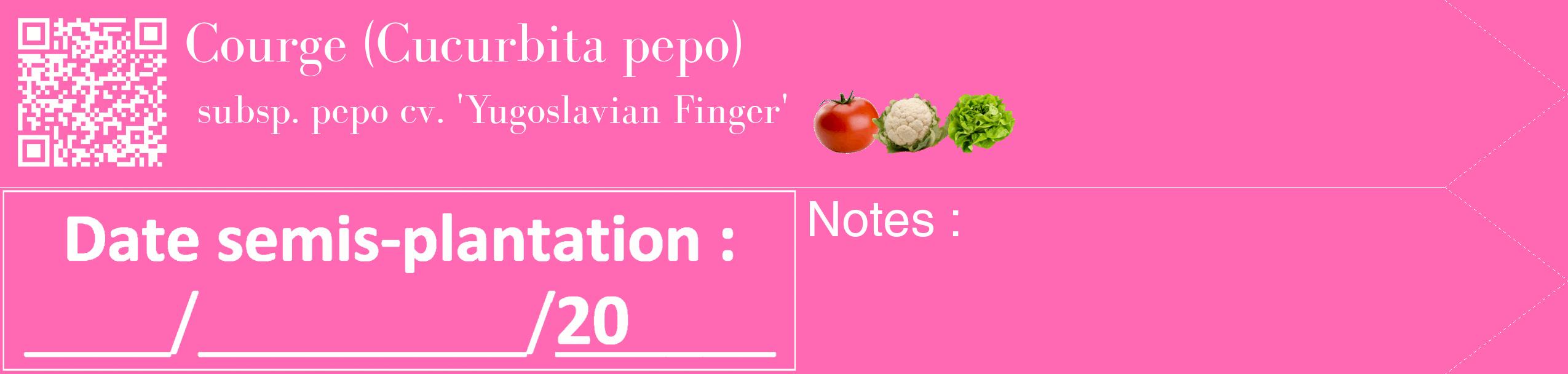 Étiquette de : Cucurbita pepo subsp. pepo cv. 'Yugoslavian Finger' - format c - style blanche42_simple_simplebod avec qrcode et comestibilité simplifiée