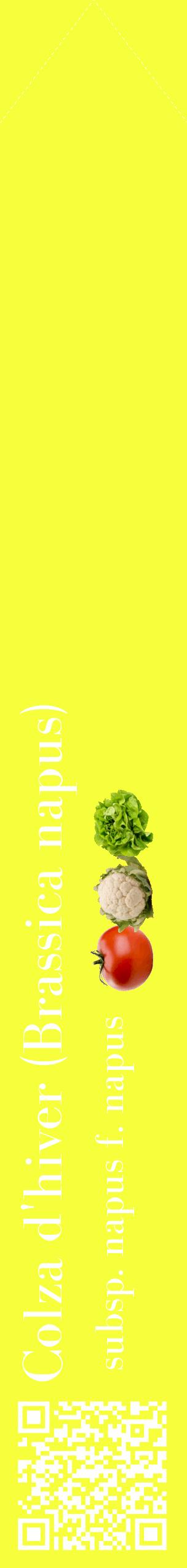 Étiquette de : Brassica napus subsp. napus f. napus - format c - style blanche18_simplebod avec qrcode et comestibilité simplifiée