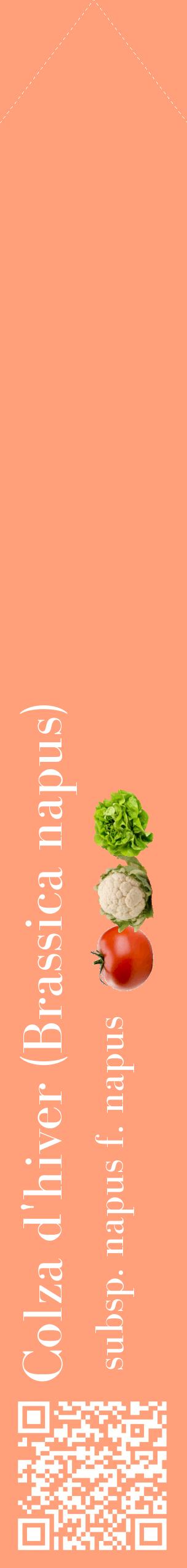 Étiquette de : Brassica napus subsp. napus f. napus - format c - style blanche39_simplebod avec qrcode et comestibilité simplifiée