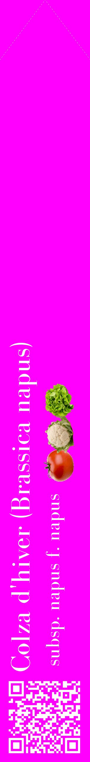 Étiquette de : Brassica napus subsp. napus f. napus - format c - style blanche51_simplebod avec qrcode et comestibilité simplifiée