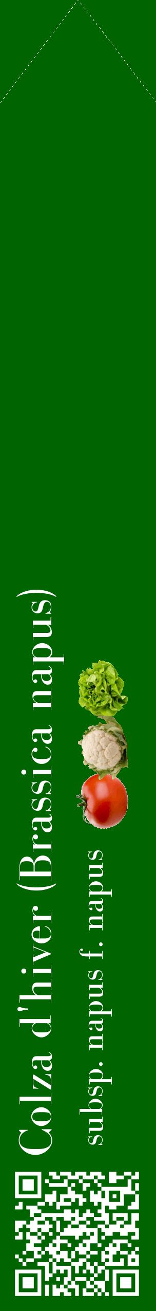 Étiquette de : Brassica napus subsp. napus f. napus - format c - style blanche8_simplebod avec qrcode et comestibilité simplifiée