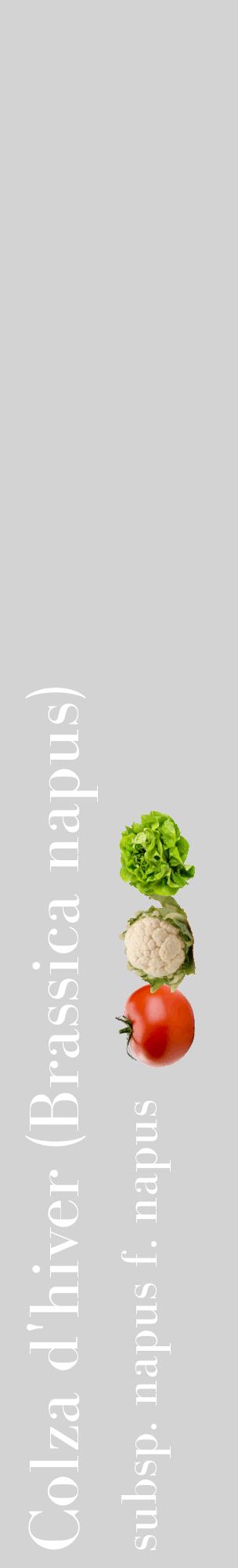 Étiquette de : Brassica napus subsp. napus f. napus - format c - style blanche56_basiquebod avec comestibilité simplifiée