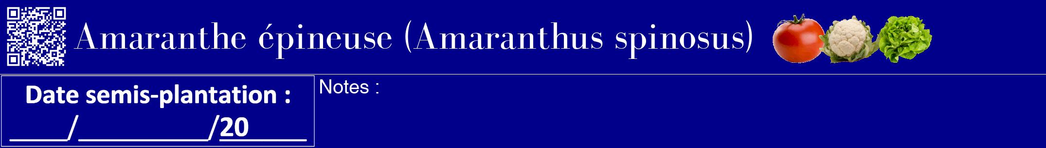 Étiquette de : Amaranthus spinosus - format a - style blanche7bod avec qrcode et comestibilité simplifiée