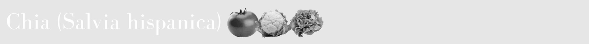 Étiquette de : Salvia hispanica - format a - style blanche18bod avec comestibilité simplifiée