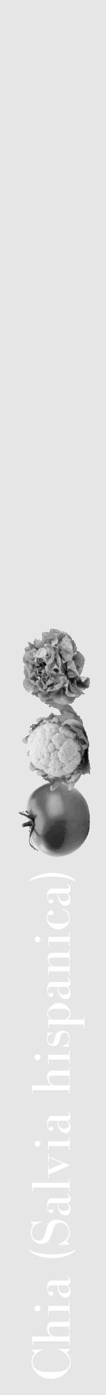 Étiquette de : Salvia hispanica - format a - style blanche18bod avec comestibilité simplifiée - position verticale