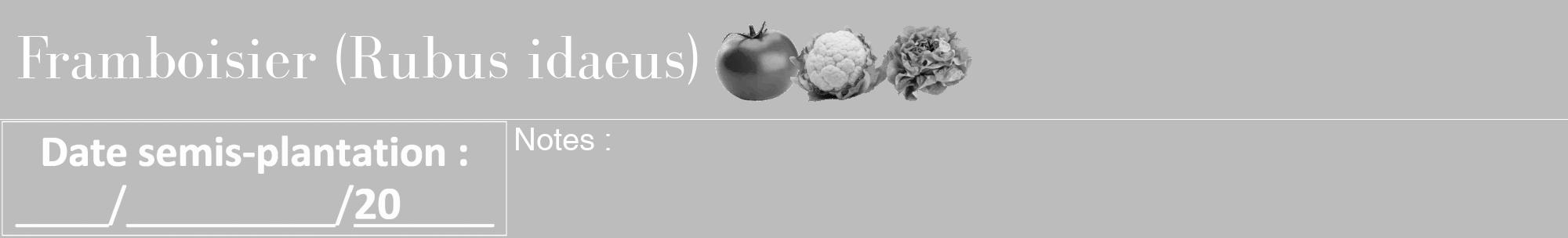 Étiquette de : Rubus idaeus - format a - style blanche1bod avec comestibilité simplifiée