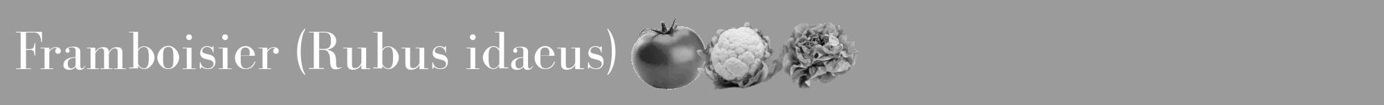 Étiquette de : Rubus idaeus - format a - style blanche52bod avec comestibilité simplifiée