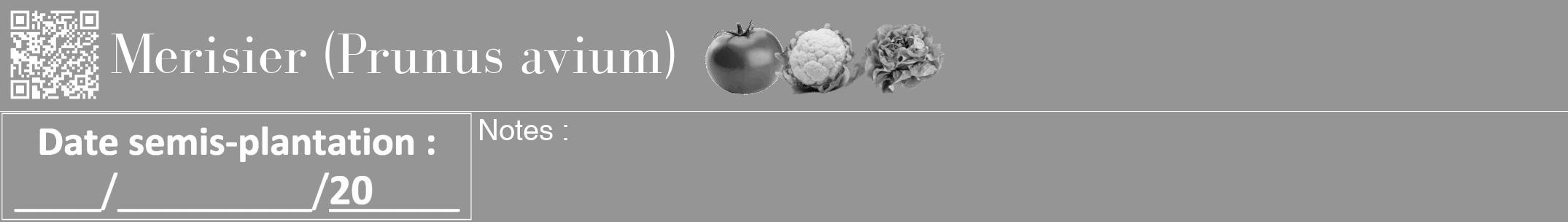 Étiquette de : Prunus avium - format a - style blanche16bod avec qrcode et comestibilité simplifiée