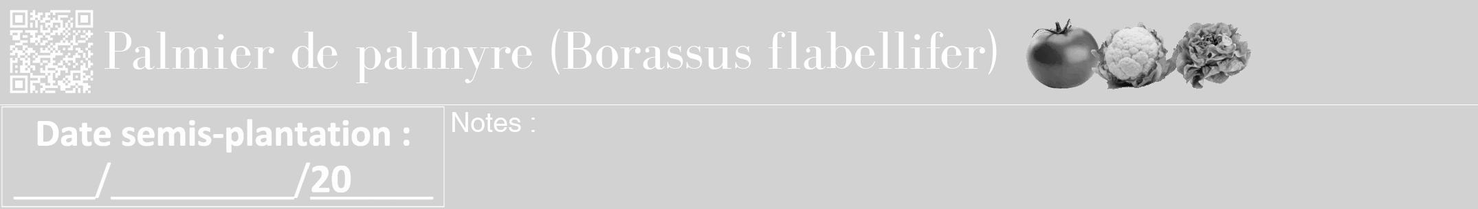 Étiquette de : Borassus flabellifer - format a - style blanche14bod avec qrcode et comestibilité simplifiée