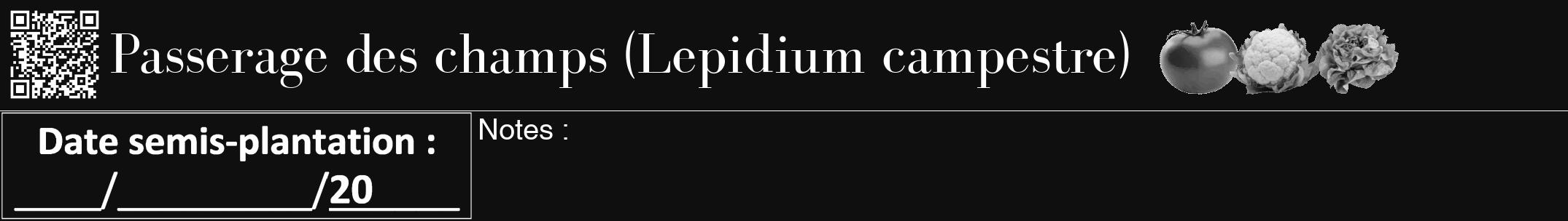 Étiquette de : Lepidium campestre - format a - style blanche7bod avec qrcode et comestibilité simplifiée