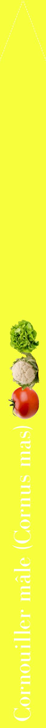 Étiquette de : Cornus mas - format b - style blanche18bod avec comestibilité simplifiée