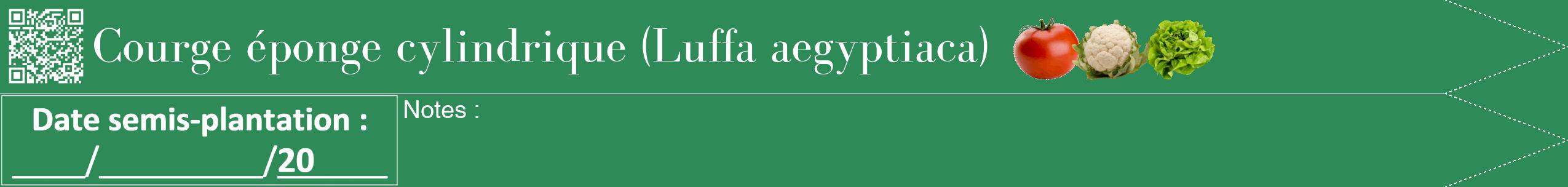 Étiquette de : Luffa aegyptiaca - format b - style blanche11bod avec qrcode et comestibilité simplifiée