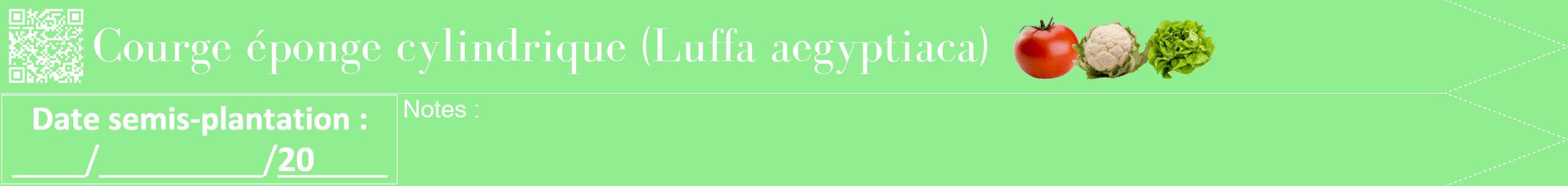 Étiquette de : Luffa aegyptiaca - format b - style blanche15bod avec qrcode et comestibilité simplifiée
