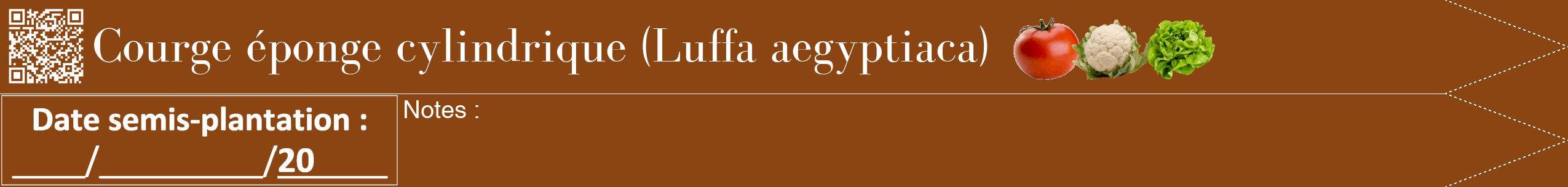 Étiquette de : Luffa aegyptiaca - format b - style blanche30bod avec qrcode et comestibilité simplifiée