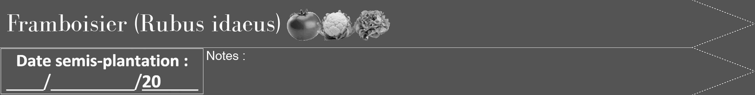Étiquette de : Rubus idaeus - format b - style blanche30bod avec comestibilité simplifiée