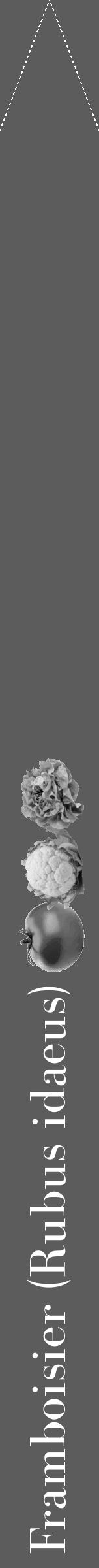 Étiquette de : Rubus idaeus - format b - style blanche49bod avec comestibilité simplifiée - position verticale