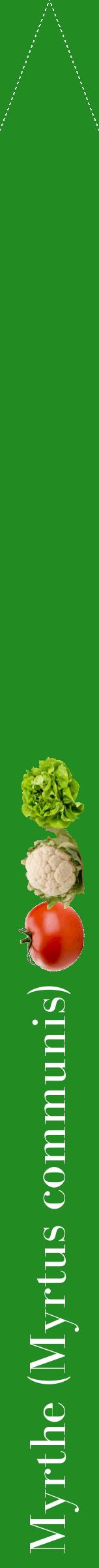Étiquette de : Myrtus communis - format b - style blanche10bod avec comestibilité simplifiée