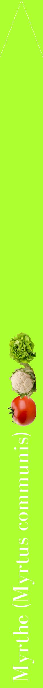 Étiquette de : Myrtus communis - format b - style blanche17bod avec comestibilité simplifiée
