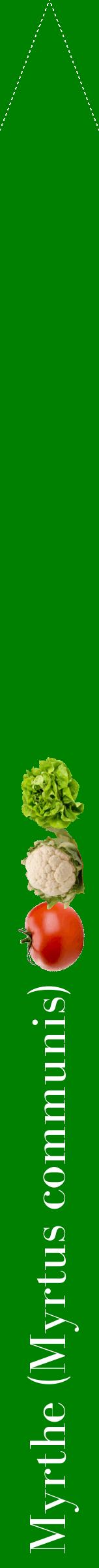 Étiquette de : Myrtus communis - format b - style blanche9bod avec comestibilité simplifiée