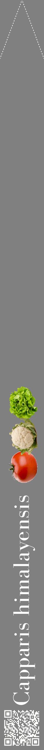 Étiquette de : Capparis himalayensis - format b - style blanche57bod avec qrcode et comestibilité simplifiée