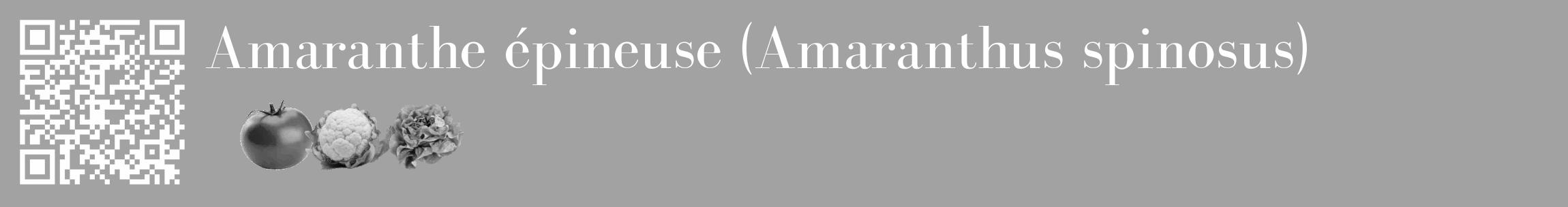 Étiquette de : Amaranthus spinosus - format c - style blanche38_basique_basiquebod avec qrcode et comestibilité simplifiée
